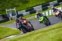 cadwell-no-limits-trackday;cadwell-park;cadwell-park-photographs;cadwell-trackday-photographs;enduro-digital-images;event-digital-images;eventdigitalimages;no-limits-trackdays;peter-wileman-photography;racing-digital-images;trackday-digital-images;trackday-photos